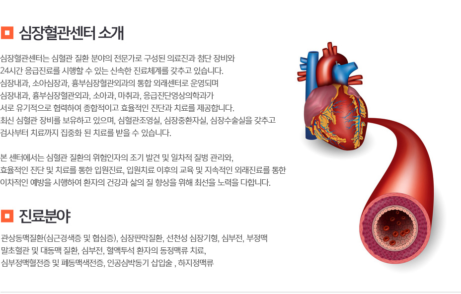 소개 및 진료분야