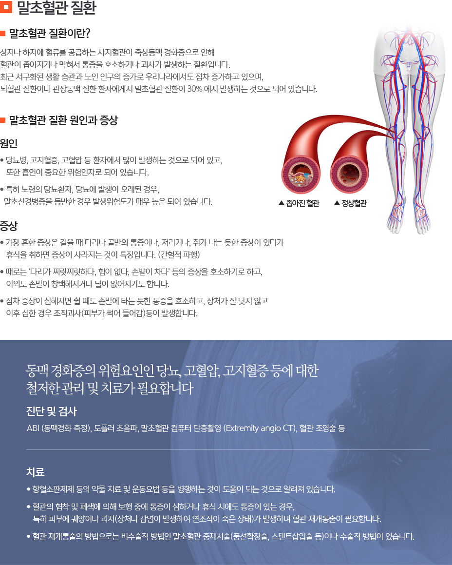 말초혈관 질환